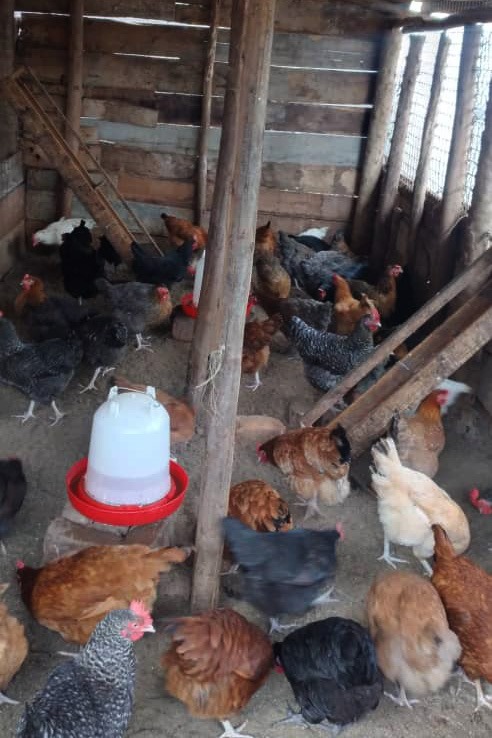 WhatsApp Image 2023-09-20 at 13.41.42